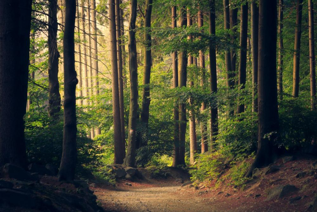 Elektroschrott Entsorgung Witten